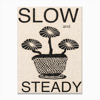 Slow And Steady Canvas Print