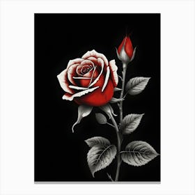 Red Rose On Black Background 1 Canvas Print