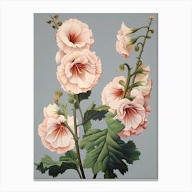 Floral Illustration Hollyhock 2 Canvas Print