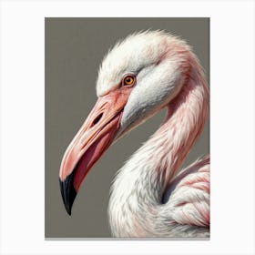 Flamingo 5 Canvas Print