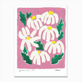 Pink Daisies Canvas Print