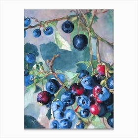 Blackcurrant Classic Fruit Canvas Print