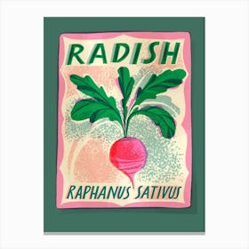 Radish Seed Packet Canvas Print