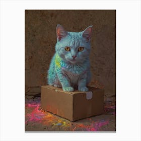 Cat In A Box 12 Canvas Print