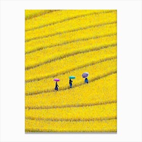 Terraced Fields Viet Nam Canvas Print