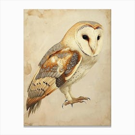 Barn Owl Painting 7 Canvas Print