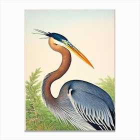 Great Blue Heron James Audubon Vintage Style Bird Canvas Print