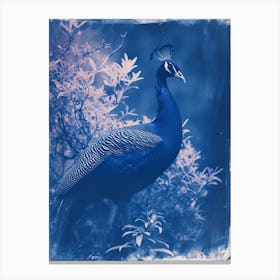 Peacock In The Wild Cyanotype Inspired 7 Canvas Print