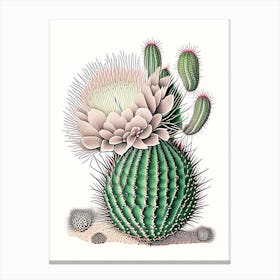 Echinocereus Cactus William Morris Inspired Canvas Print