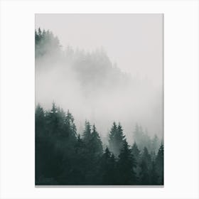 Foggy Forest Trees Canvas Print