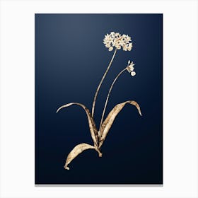 Gold Botanical Spring Garlic on Midnight Navy n.0313 Canvas Print