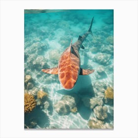 Drone Photograph Of A Shark Swimming In Crystal Clear 2 Canvas Print