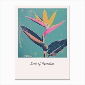 Bird Of Paradise 3 Square Flower Illustration Poster Canvas Print