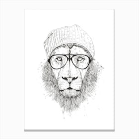 Cool Lion Canvas Print