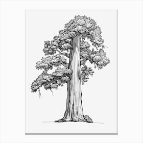 Sequoia Tree Minimalistic Drawing 2 Canvas Print