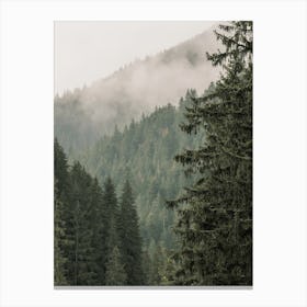 Misty Pine Forest Canvas Print