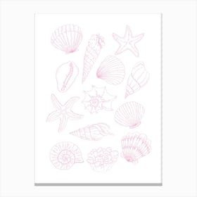 Pink Seashells 1 Canvas Print