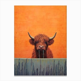 Highland Cow Drinking Out Of Water Trough1 Canvas Print