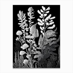 Club Moss Wildflower Linocut 1 Canvas Print