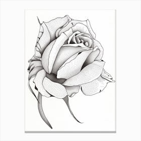 Rose Line Drawing 3 Canvas Print