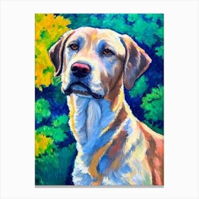 Chesapeake Bay Retriever Fauvist Style dog Canvas Print