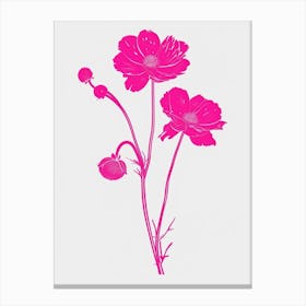 Hot Pink Cineraria 2 Canvas Print