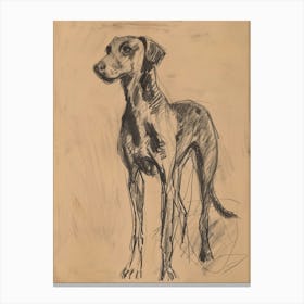 Sepia Plott Hound Dog Charcoal Line 2 Canvas Print