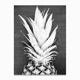Pineapple 5 Canvas Print