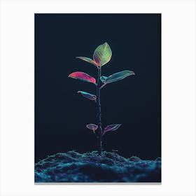 Plant Growing Out Of The Ground 6 Canvas Print