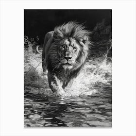 Barbary Lion Charcoal Drawing Crossing A River 4 Canvas Print