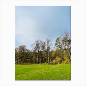 Bare Trees In A Field Canvas Print