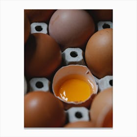 Egg Stock Videos & Royalty-Free Footage Canvas Print