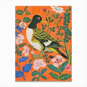 Spring Birds Bufflehead 2 Canvas Print