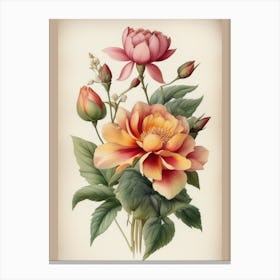 Vintage Peonies Canvas Print