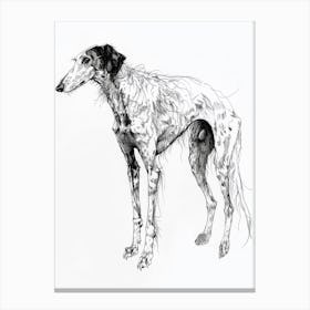 Borzoi Dog Line Sketch 3 Canvas Print