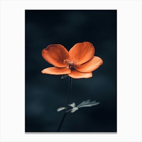 Orange Flower 23 Canvas Print