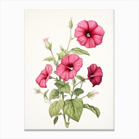 Petunias Flower Vintage Botanical 2 Canvas Print