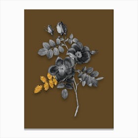 Vintage Austrian Briar Rose Black and White Gold Leaf Floral Art on Coffee Brown Canvas Print