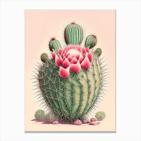 Acanthocalycium Cactus Retro Drawing 1 Canvas Print