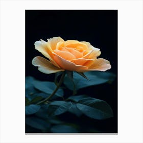 Yellow Rose 3 Canvas Print