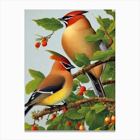 Cedar Waxwing Haeckel Style Vintage Illustration Bird Canvas Print
