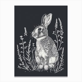Californian Rabbit Minimalist Illustration 4 Canvas Print