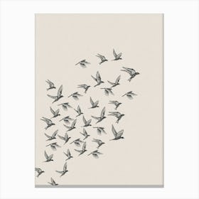 Neutral Bird Flock Canvas Print