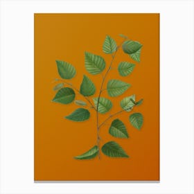 Vintage Paper Birch Botanical on Sunset Orange n.0592 Canvas Print