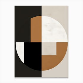 Vintage Variations; Mid Century Geometries Canvas Print