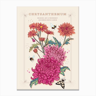 November Birth Flower Chrysanthemum On Cream Canvas Print