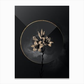 Shadowy Vintage Madonna Lily Botanical in Black and Gold n.0177 Canvas Print