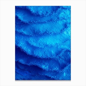 Blue Wave Canvas Print