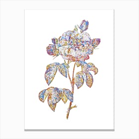Stained Glass Vintage Duchess of Orleans Rose Mosaic Botanical Illustration on White n.0250 Canvas Print
