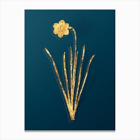 Vintage Narcissus Poeticus Botanical in Gold on Teal Blue n.0146 Canvas Print